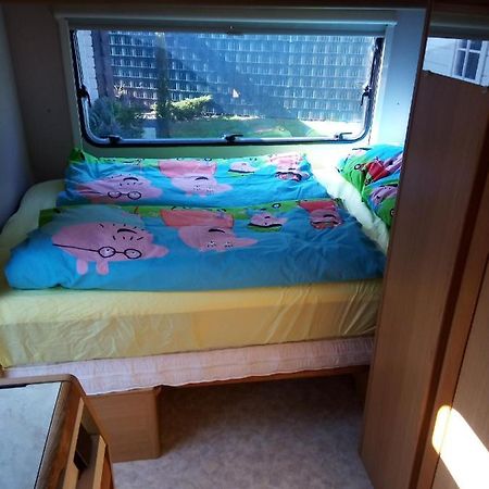 كيفالير Urlaub Machen Direkt Am Irland Das Kinderparadies In Twisteden Im Grossen Garten Bei Privatleute Fur Maximal Sechs Personen المظهر الخارجي الصورة