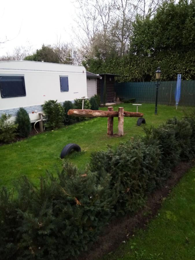 كيفالير Urlaub Machen Direkt Am Irland Das Kinderparadies In Twisteden Im Grossen Garten Bei Privatleute Fur Maximal Sechs Personen المظهر الخارجي الصورة