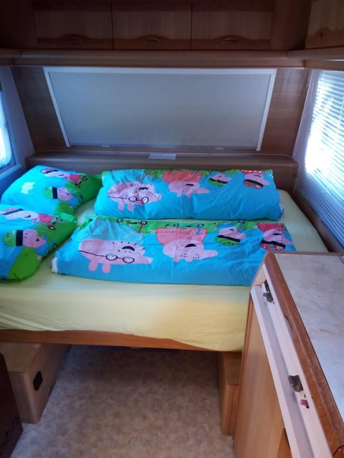 كيفالير Urlaub Machen Direkt Am Irland Das Kinderparadies In Twisteden Im Grossen Garten Bei Privatleute Fur Maximal Sechs Personen المظهر الخارجي الصورة